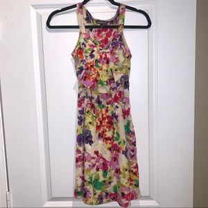 Express Floral Dress